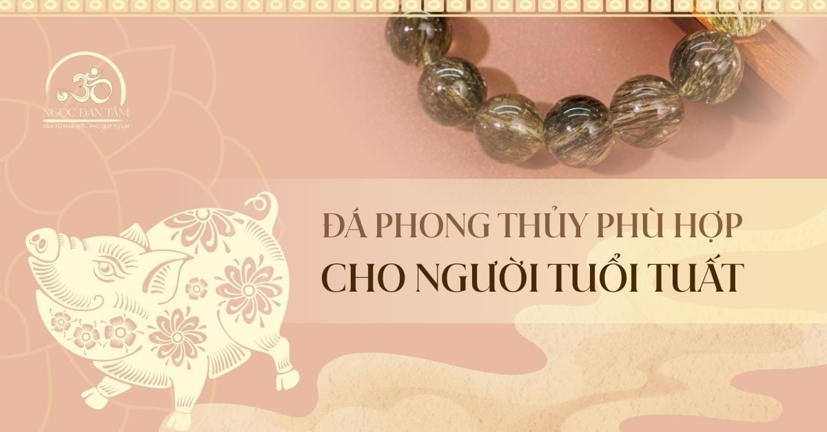 Tuổi Hợi 2026 Nên Đeo Đá Gì Để Thu Hút May Mắn Và Tài Lộc