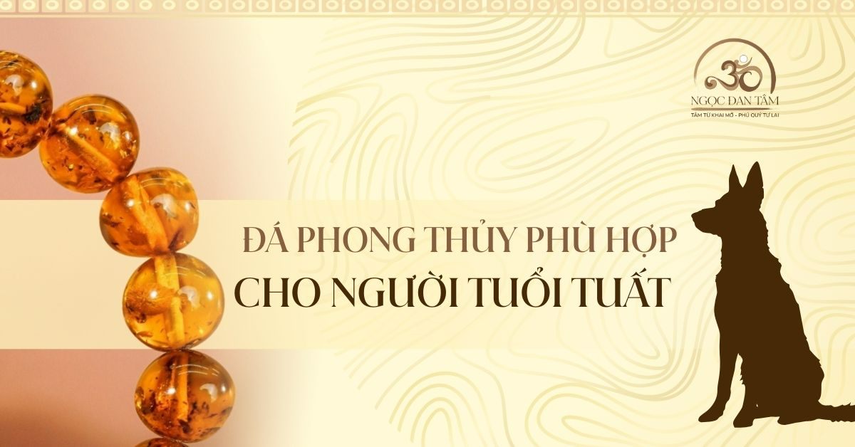Tuổi Tuất 2026 Đeo Đá Gì Để Tăng Bản Lĩnh Và Củng Cố Năng Lượng