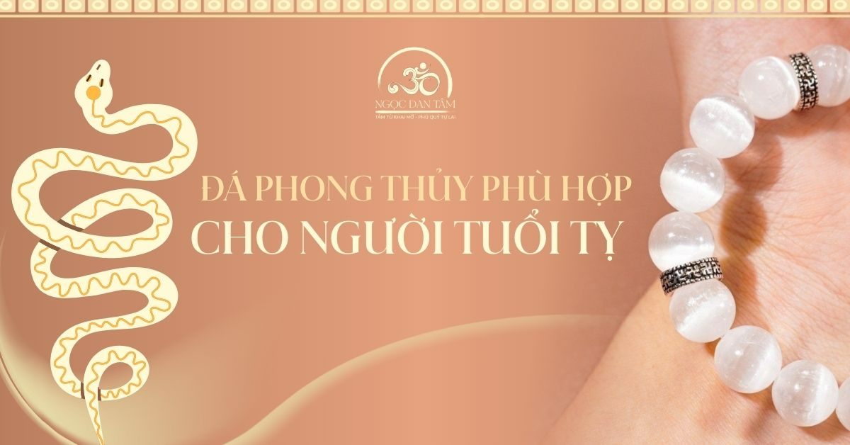 Tuổi Tỵ 2026 Nên Đeo Đá Gì Để Sáng Rõ Trí Tuệ Và Tăng Trực Giác