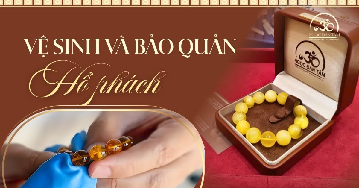 Vệ sinh và bảo quản hổ phách đúng cách để giữ trọn vẻ đẹp tự nhiên