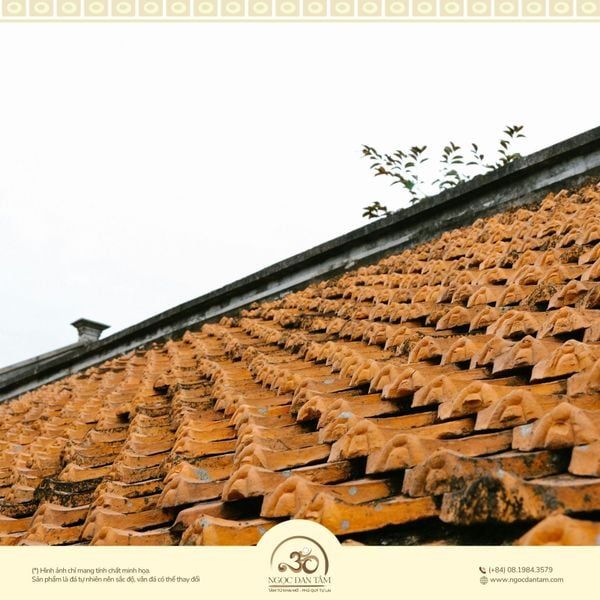 Đặc điểm năng lượng của Ốc Thượng Thổ
