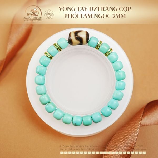 Dzi Răng Cọp phối Lam Ngọc 7mm cho người coi trọng chiều sâu