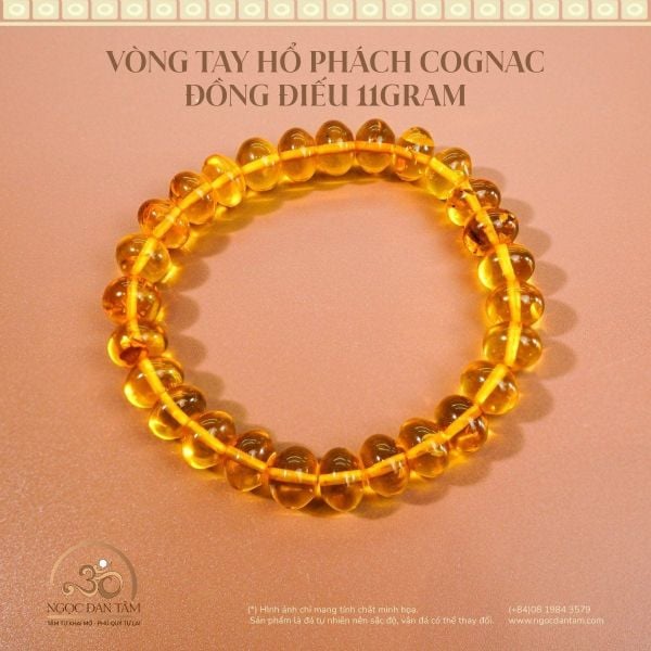 Hổ Phách hợp với Sa Trung Thổ