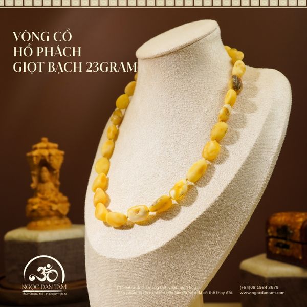 vòng cổ  Hổ Phách  giọt bạch 23GRAM