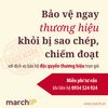 Thủ tục đăng ký nhãn hiệu, bảo hộ thương hiệu mới nhất 2026