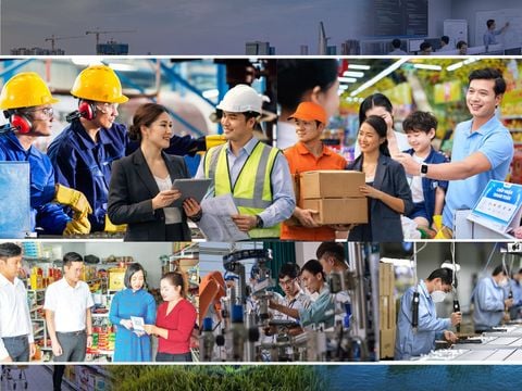 Hilo Phát Huy Tinh Thần Chuyển Đổi Số Toàn Diện: Hưởng Ứng Ngày Chuyển Đổi Số Quốc Gia 10/10