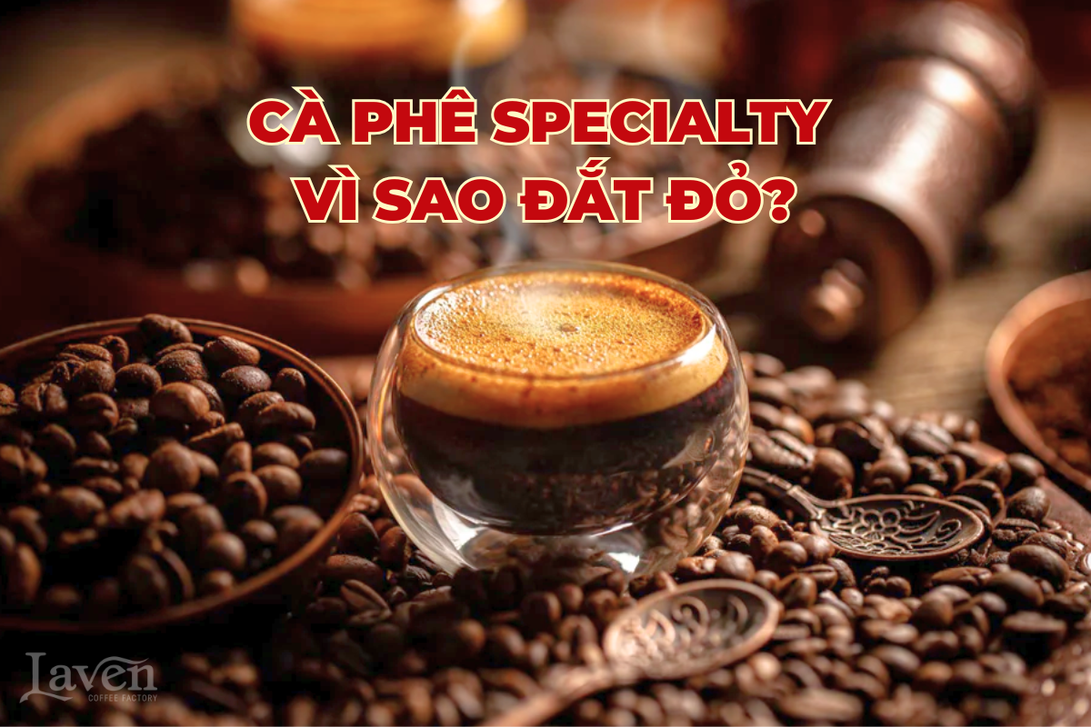 Cà Phê Specialty Là Gì? Vì Sao Giá Cao Hơn Cà Phê Thường?
