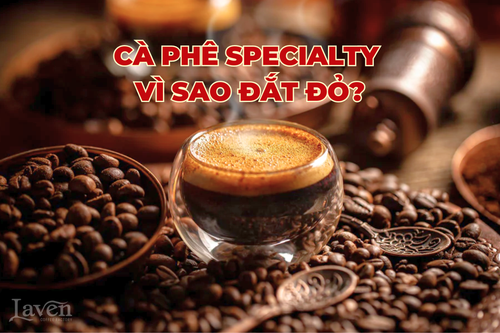 Cà Phê Specialty Là Gì? Vì Sao Giá Cao Hơn Cà Phê Thường?
