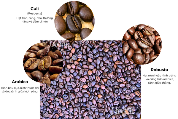 ca-phe-mix-moc-nguyen-chat-robusta-arabica-culi-ho-chi-minh-bien-hoa