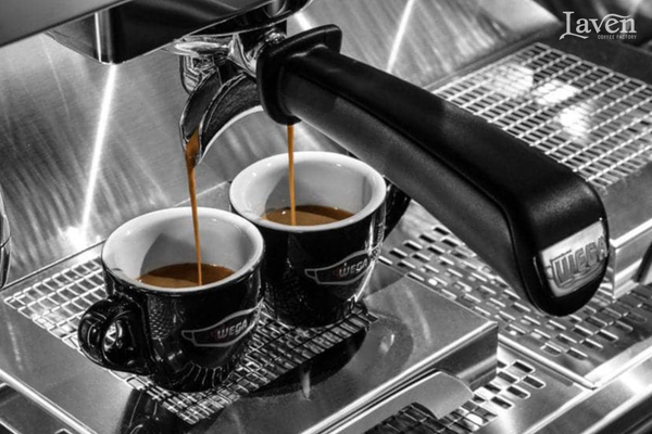 may-pha-ca-phe-wega-pegaso-1-group-may-y-chuyen-nghiep-new-bien-hoa-ho-chi-minh