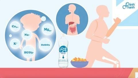 Lợi ích của Nước khoáng thiên nhiên bổ sung gas Đảnh Thạnh trong đời sống hiện đại