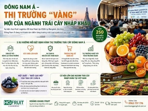 Đông Nam Á – Thị Trường “Vàng” Mới Của Ngành Trái Cây Nhập Khẩu