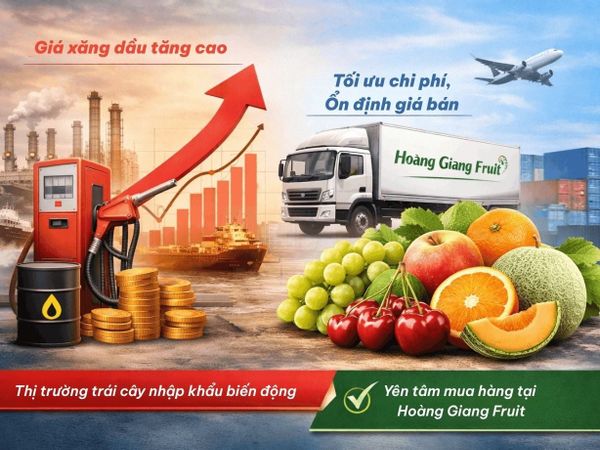 Giá Xăng Dầu Biến Động, Ngành Trái Cây Nhập Khẩu Chịu Ảnh Hưởng Ra Sao?