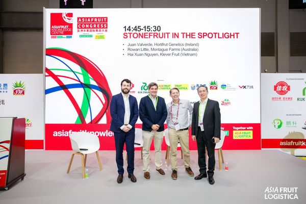 Hoàng Giang Fruit Tại Asia Fruit Logistica 2026: Mang Góc Nhìn B2B Việt Nam Ra Thế Giới