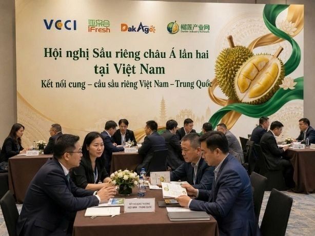Việt Nam Tháo Gỡ Nút Thắt Xuất Khẩu Sầu Riêng Sang Trung Quốc: Cơ Hội Mới Cho Doanh Nghiệp