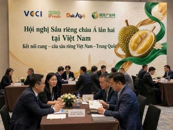 Việt Nam Tháo Gỡ Nút Thắt Xuất Khẩu Sầu Riêng Sang Trung Quốc: Cơ Hội Mới Cho Doanh Nghiệp