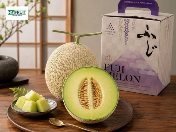 Hộp Quà Dưa Fuji Melon Nhật Cao Cấp – Món Quà Đầy Ý Nghĩa