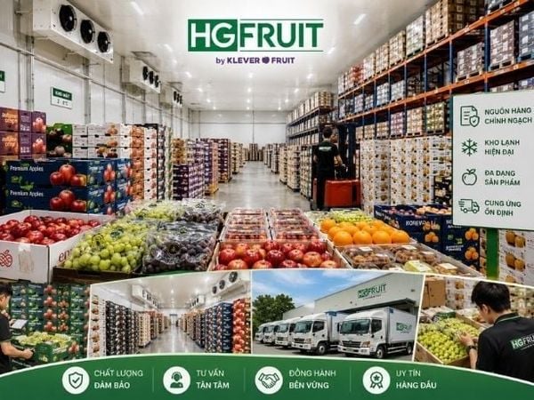 Kho Trái Cây Uy Tín: Giải Pháp Nguồn Hàng Ổn Định Cho Cửa Hàng