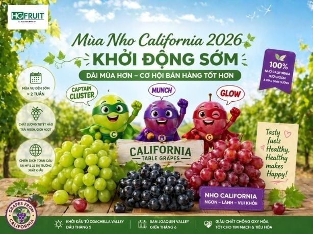 Mùa Nho California 2026 Khởi Động Sớm, Thị Trường Được Kích Cầu Mạnh Hơn