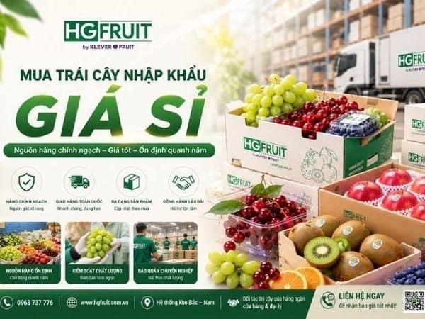 Mua Trái Cây Nhập Khẩu Giá Sỉ: Kinh Nghiệm Chọn Nguồn Hàng Uy Tín