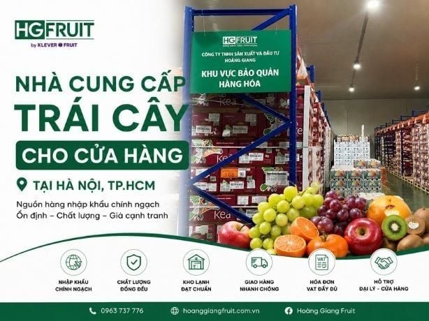 Nhà Cung Cấp Trái Cây Cho Cửa Hàng Tại Hà Nội, TP. Hồ Chí Minh