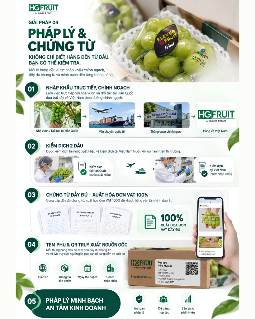 Pháp Lý & Chứng Từ Trái Cây Nhập Khẩu Minh Bạch