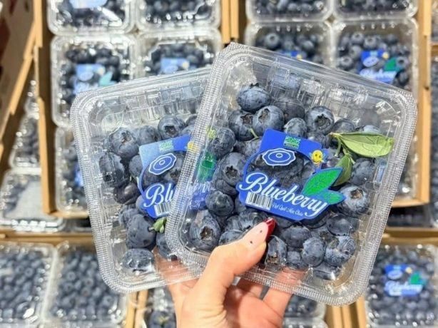 Việt Quất Mộc Châu Bị Lợi Dụng Để Hợp Thức Hóa Hàng Nhập Lậu