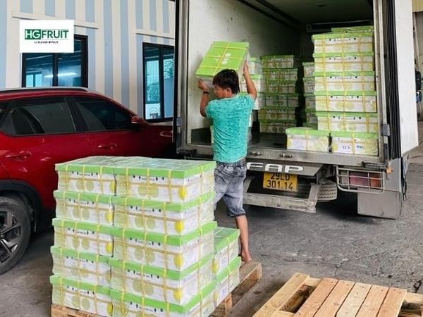Tình Hình Thị Trường Trái Cây Hôm Nay: Sức Mua Tăng Mạnh Trước Rằm Tháng 5