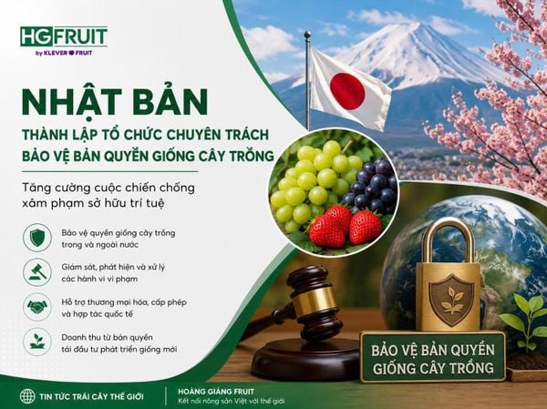 Nhật Bản Thành Lập Tổ Chức Bảo Vệ Bản Quyền Giống Cây Trồng
