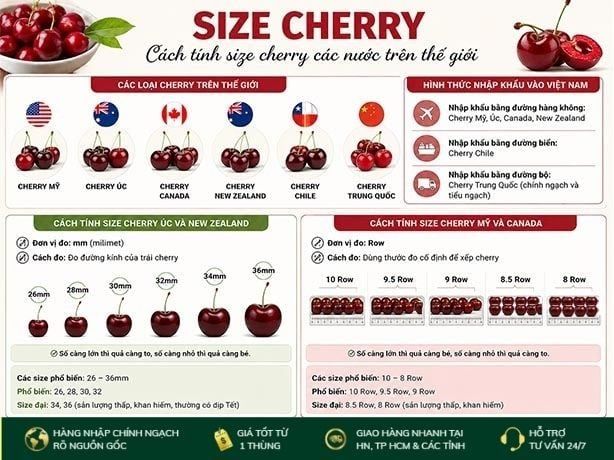 Size Cherry Là Gì? Cách Tính Size Các Loại Cherry Trên Thế Giới