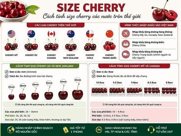 Size Cherry Là Gì? Cách Tính Size Các Loại Cherry Trên Thế Giới
