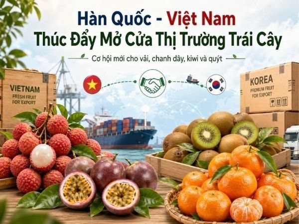 Hàn Quốc Và Việt Nam Đẩy Mạnh Mở Cửa Thị Trường Trái Cây Song Phương
