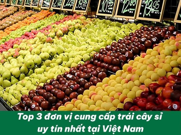 Top 3 Đơn Vị Cung Cấp Trái Cây Sỉ Uy Tín Nhất Tại Việt Nam