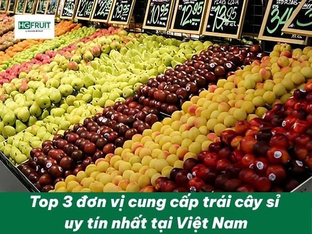 Top 3 Đơn Vị Cung Cấp Trái Cây Sỉ Uy Tín Nhất Tại Việt Nam