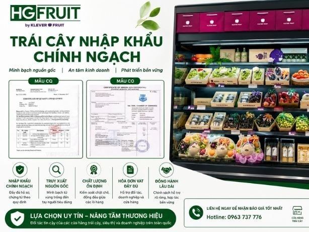 Trái Cây Nhập Khẩu Chính Ngạch: Vì Sao Cửa Hàng Nên Lựa Chọn?