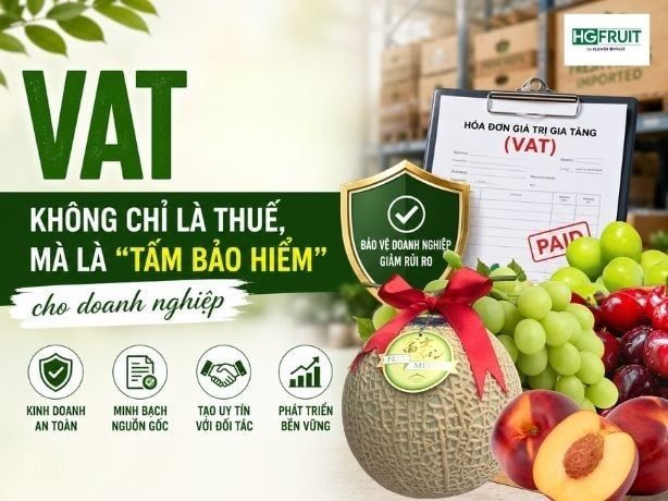 VAT Ngành Trái Cây Nhập Khẩu: Không Chỉ Là Thuế, Đó Là 