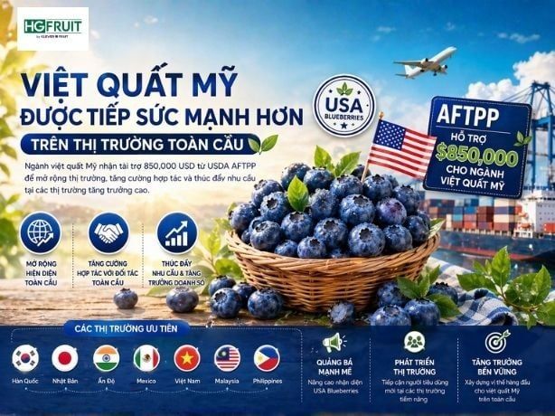Việt Quất Mỹ Được Tiếp Sức Mạnh Hơn Trên Thị Trường Toàn Cầu Nhờ Gói Tài Trợ Mới