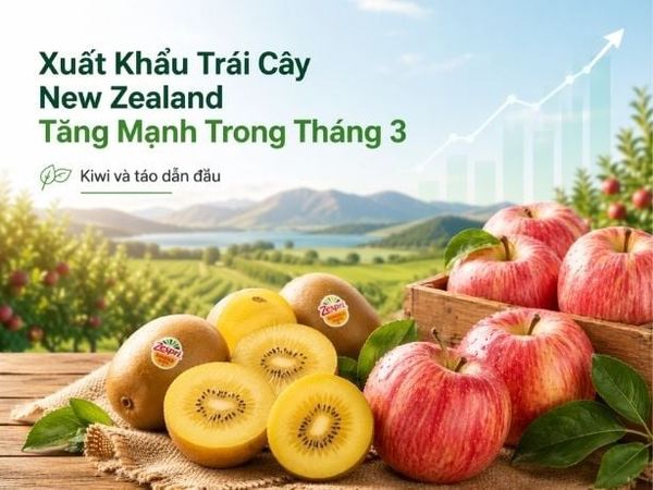 Xuất Khẩu Trái Cây New Zealand Tăng Mạnh Trong Tháng 3, Kiwi Và Táo Dẫn Đầu