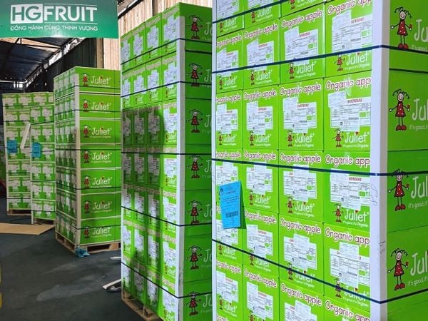 Tổng kho trái cây Hoàng Giang Fruit