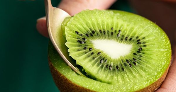 Kiwi Green146