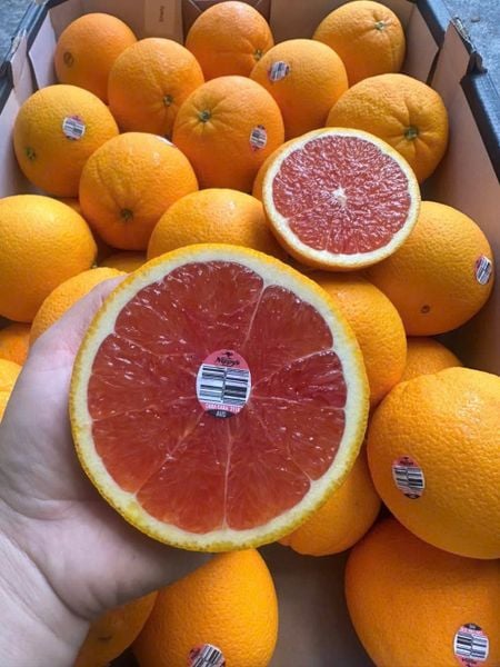cam cara ruột đỏ úc