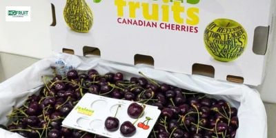 Cherry Canada