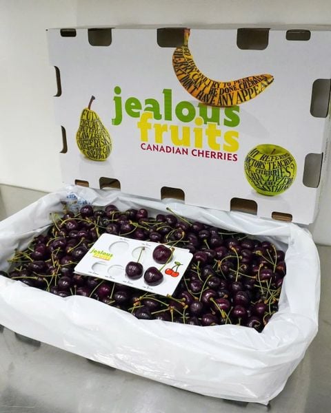Cherry canada