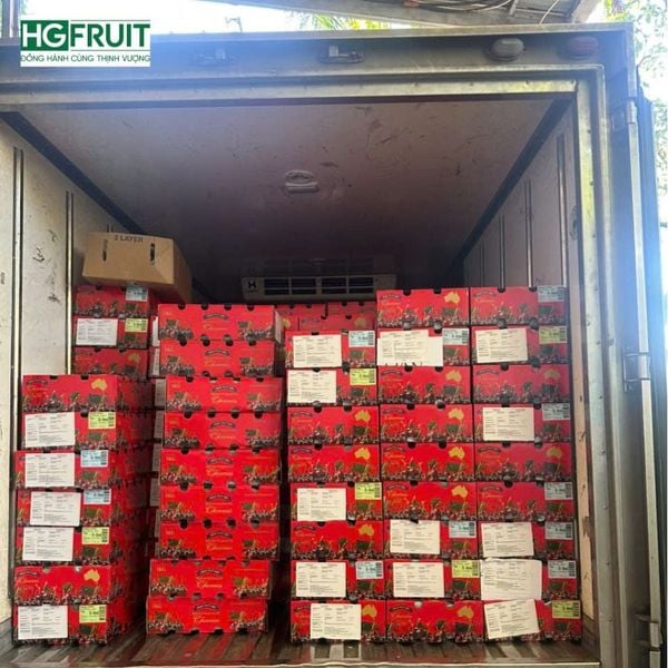 Nhập sỉ số lượng lớn Cherry Úc tại Hoàng Giang Fruit