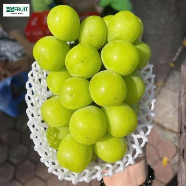 Chùm nho sữa hàn quốc