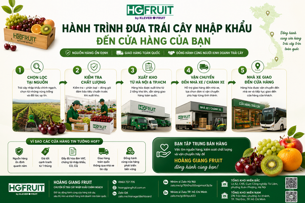 Quy trình cung cấp trái cây của Hoàng Giang Fruit