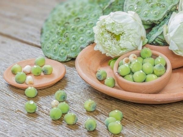 Hạt sen giúp bồi bổ cơ thể và hỗ trợ giấc ngủ