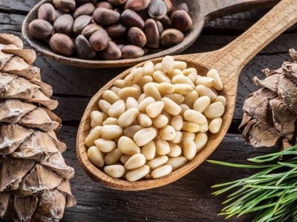 Hạt thông giàu vitamin E và chất béo tốt.