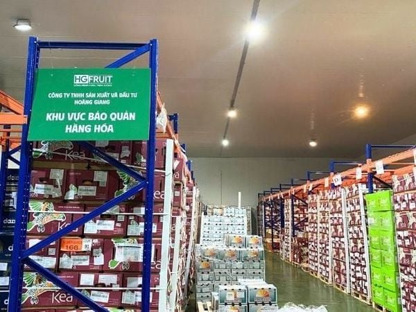 Kho hàng Hoàng Giang Fruit