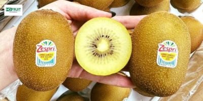 Kiwi Vàng New Zealand